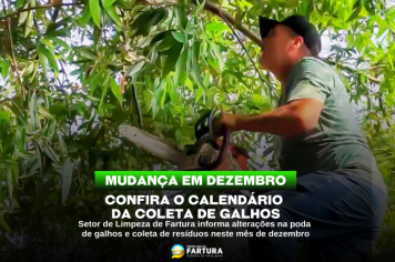 Mudanças na coleta de galhos em dezembro: confira o calendário e fique atento