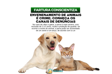 Fartura conscientiza: envenenamento de animais é crime e informa canais de denúncias