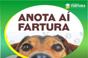 Agendamentos para castração de cães e gatos será na segunda-feira (06)