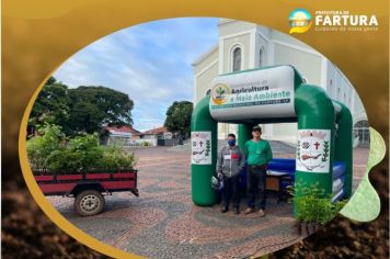 Moradores podem retirar mudas de árvores nesta sexta-feira (03) na Praça da Matriz