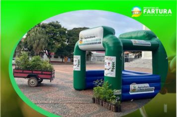 Prefeitura distribui mudas nesta quinta-feira (09) na Praça da Matriz