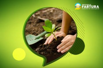 Coordenadoria de Agricultura e Meio Ambiente entregará mudas de árvores para plantio nas próximas edições dos projetos “Prefeitura no Bairro” e “Todos por Fartura”