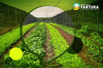 “Horta Alimento”: distribuição das cestas verdes acontecerá nesta quarta-feira (10)