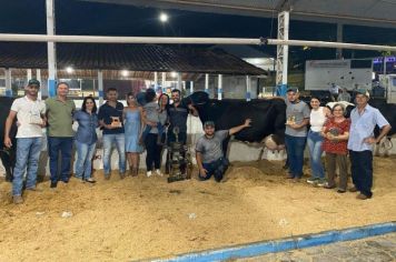 25º Torneio Leiteiro mostra alta qualidade do rebanho farturense 