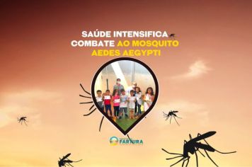 Saúde intensifica combate ao mosquito Aedes aegypti
