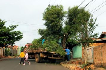 “Todos por Fartura”: bairros Bela Vista e Cidade Feliz recebem mutirão de limpeza no próximo sábado (16)