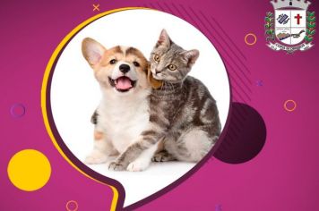 Agendamento para castração de cães e gatos acontece no dia 1º de fevereiro