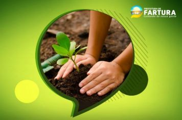 Coordenadoria de Agricultura e Meio Ambiente doa mais de 1,1 mil mudas de árvores