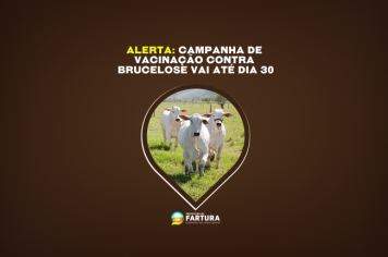 Agricultura alerta: Campanha de Vacinação contra Brucelose vai até dia 30