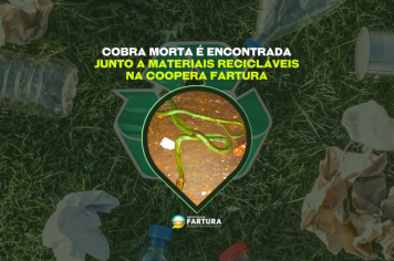 Cobra morta é encontrada junto a materiais recicláveis na Coopera Fartura