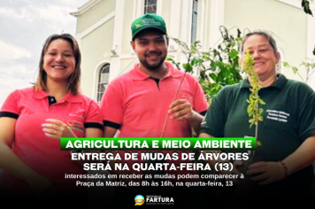 Agricultura e Meio Ambiente distribuirão mudas de árvores na quarta-feira (13)