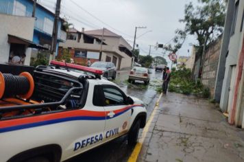 Vendaval e chuvas causam estragos e pânico na população farturense