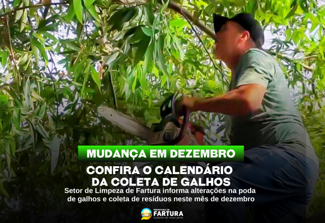 Mudanças na coleta de galhos em dezembro: confira o calendário e fique atento