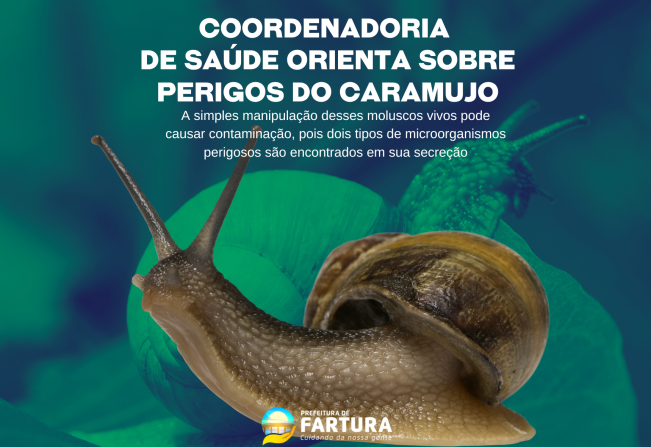 Coordenadoria de Saúde orienta sobre perigos do caramujo