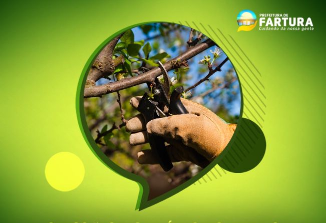 Curso “Podas de Árvores Nativas e Frutíferas” será promovido neste fim de semana, na Chácara Municipal de Fartura