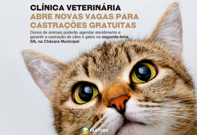 Clínica Veterinária Municipal abre novas vagas para castrações gratuitas