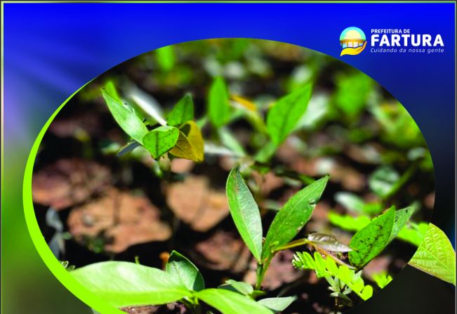 Fartura lança programação da Semana do Meio Ambiente com inúmeras atividades